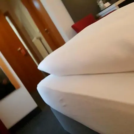 Altstadthotel Kneitinger, 3*